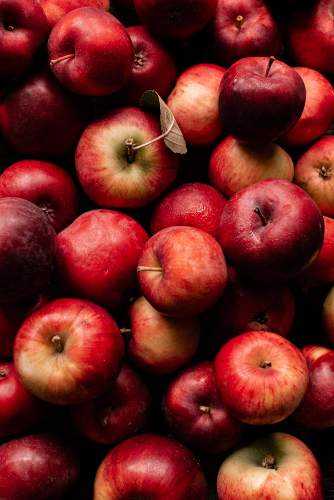 L’alimentation